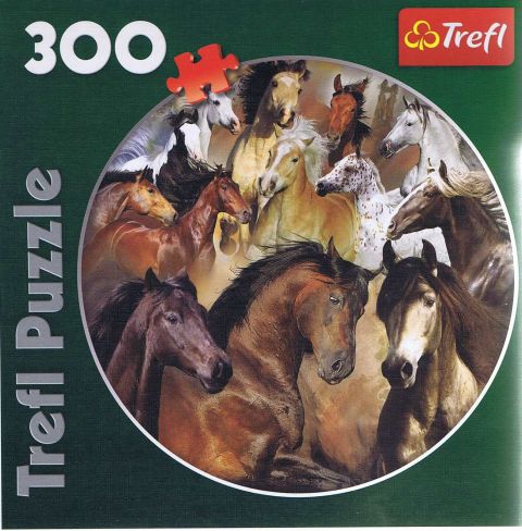 Horses, 300 brikker (1)